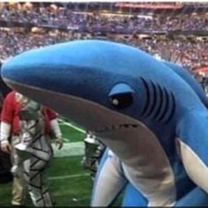 Meet your Posher, Anwar